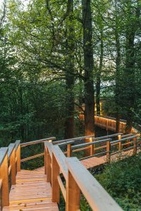 Rewild-Things-028
